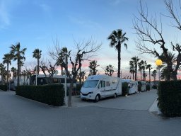 203-10-01-2026 IMG_3400